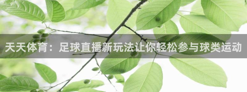 天天体育：足球直播新玩法让你轻松参与球类运动