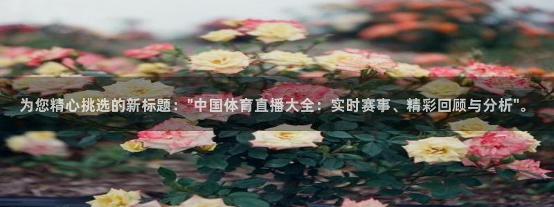 为您精心挑选的新标题：\