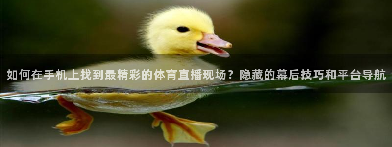 如何在手机上找到最精彩的体育直播现场？隐藏的幕后技巧和平台导航
