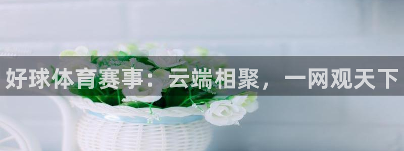 好球体育赛事：云端相聚，一网观天下
