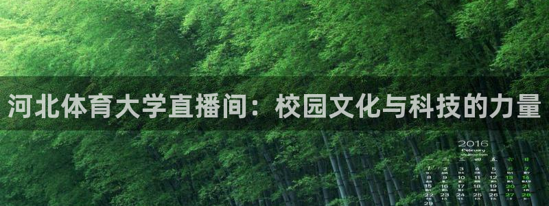 河北体育大学直播间：校园文化与科技的力量