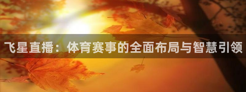 飞星直播：体育赛事的全面布局与智慧引领