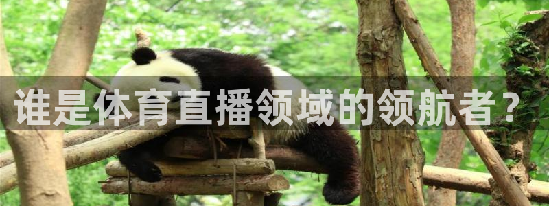 谁是体育直播领域的领航者？