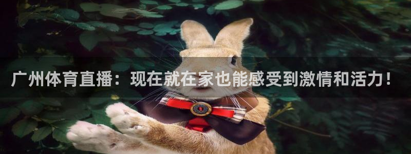 广州体育直播：现在就在家也能感受到激情和活力！