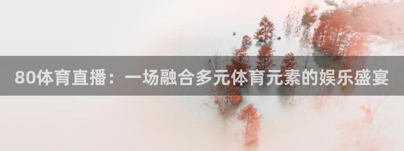 80体育直播：一场融合多元体育元素的娱乐盛宴