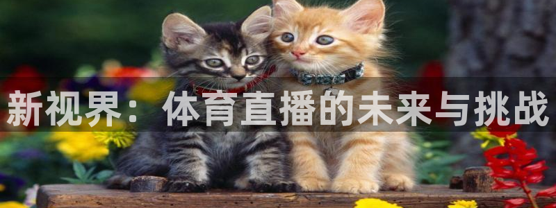 新视界：体育直播的未来与挑战
