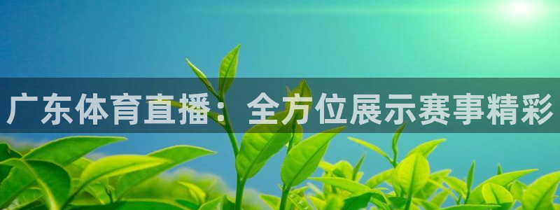 广东体育直播：全方位展示赛事精彩