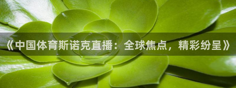 《中国体育斯诺克直播：全球焦点，精彩纷呈》