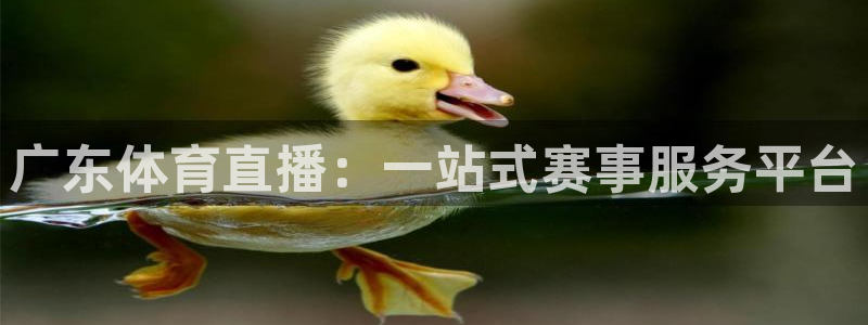 广东体育直播：一站式赛事服务平台