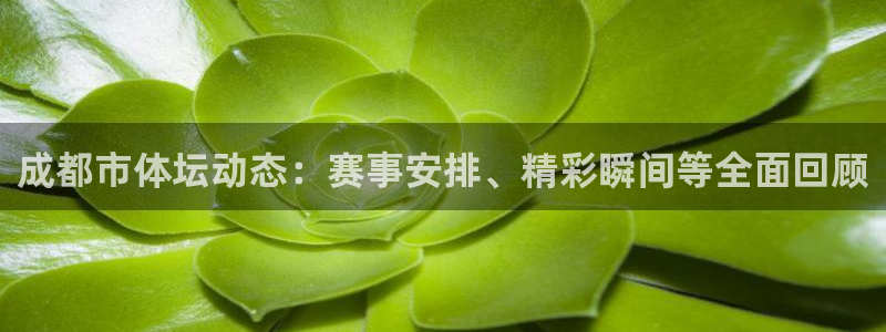 成都市体坛动态：赛事安排、精彩瞬间等全面回顾