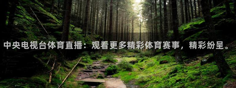 中央电视台体育直播：观看更多精彩体育赛事，精彩纷呈。