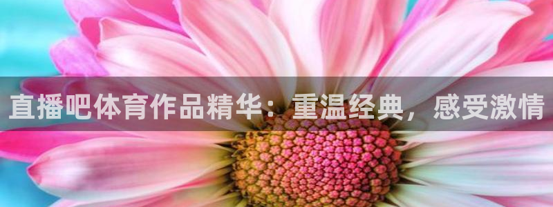 直播吧体育作品精华：重温经典，感受激情