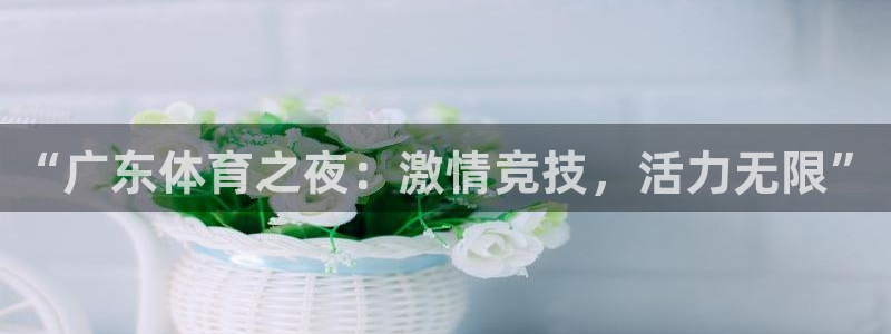 “广东体育之夜：激情竞技，活力无限”