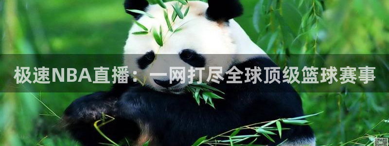 极速NBA直播：一网打尽全球顶级篮球赛事