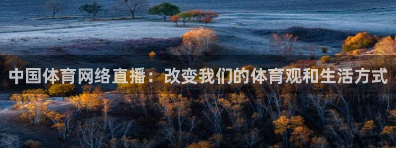 中国体育网络直播：改变我们的体育观和生活方式