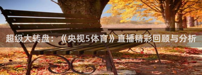 超级大转盘：《央视5体育》直播精彩回顾与分析