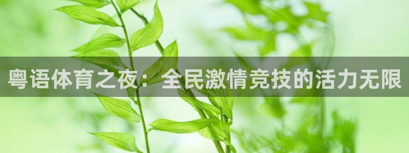 粤语体育之夜：全民激情竞技的活力无限