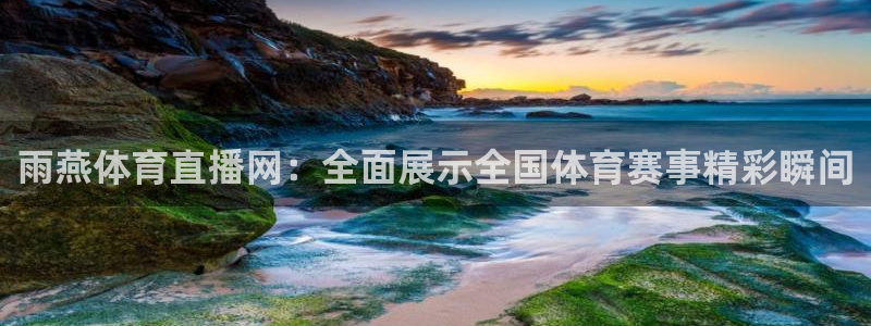 雨燕体育直播网：全面展示全国体育赛事精彩瞬间